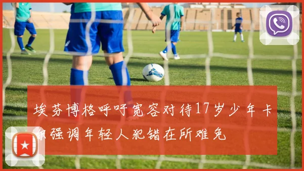 埃芬博格呼吁宽容对待17岁少年卡尔强调年轻人犯错在所难免
