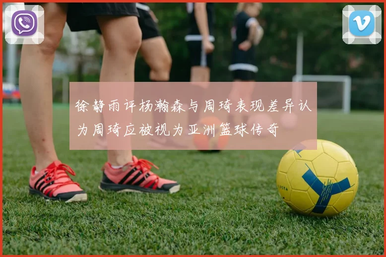 徐静雨评杨瀚森与周琦表现差异认为周琦应被视为亚洲篮球传奇