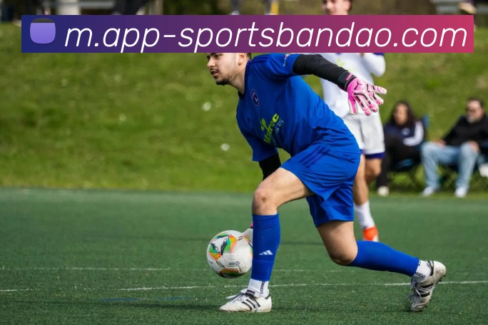 半岛体育APP 高清赛事图